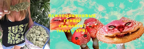 стаф Абдулино
