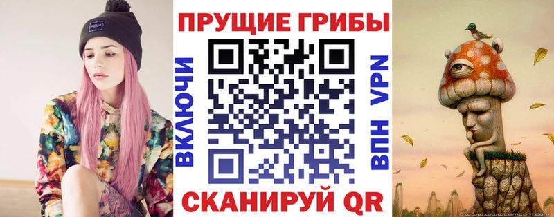 Псилоцибиновые грибы мухоморы  площадка какой сайт  Тимашёвск 